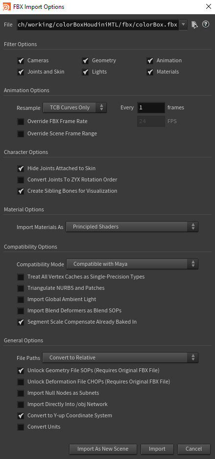 FBX import options