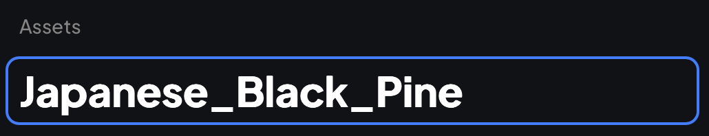 Asset name field in edit mode