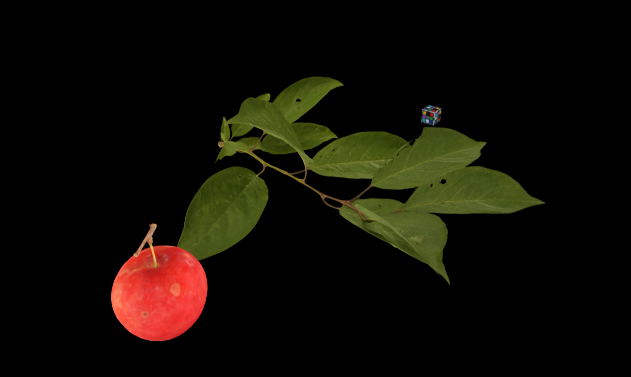 Japanese Plum